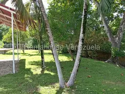 View 33