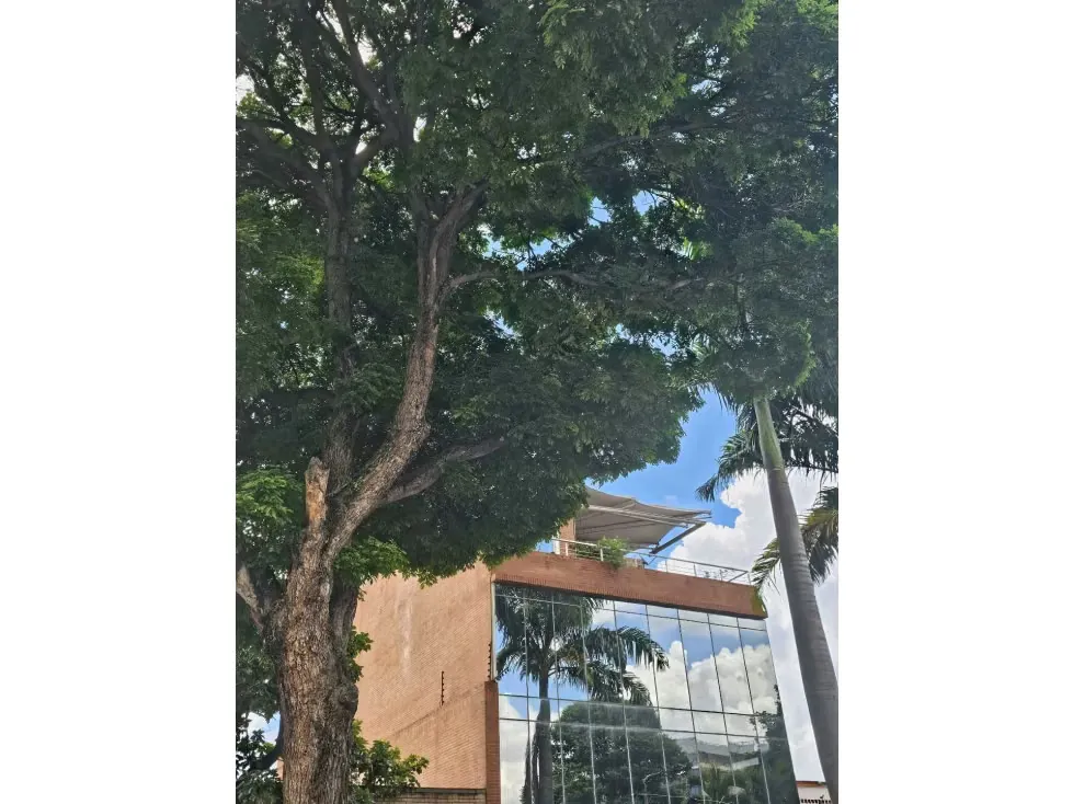 Alquilo edificio comercial triplex 580m2 Campo Claro 1131 - 16