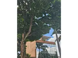 Vista 16