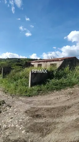 Vista 5