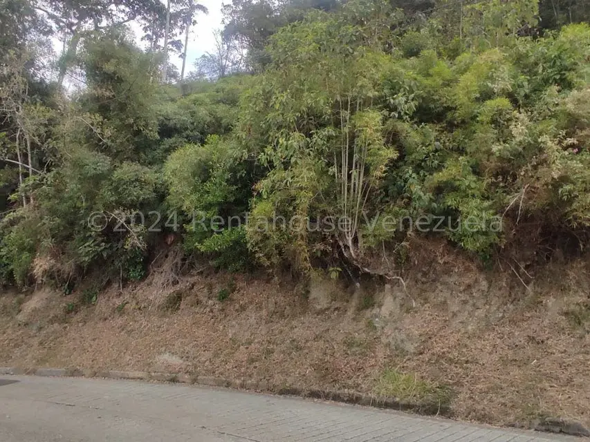 Terreno (Residencial) en Venta en La Colonia Tovar, Aragua - 11