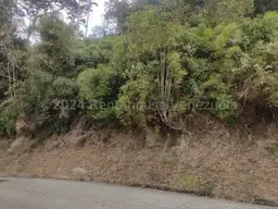 View 11