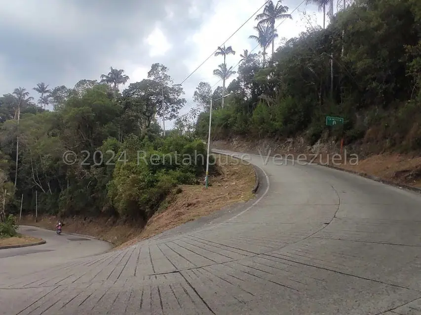 Terreno (Residencial) en Venta en La Colonia Tovar, Aragua - 14