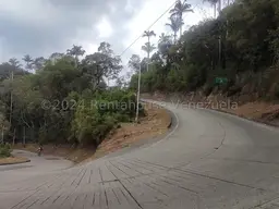 View 14