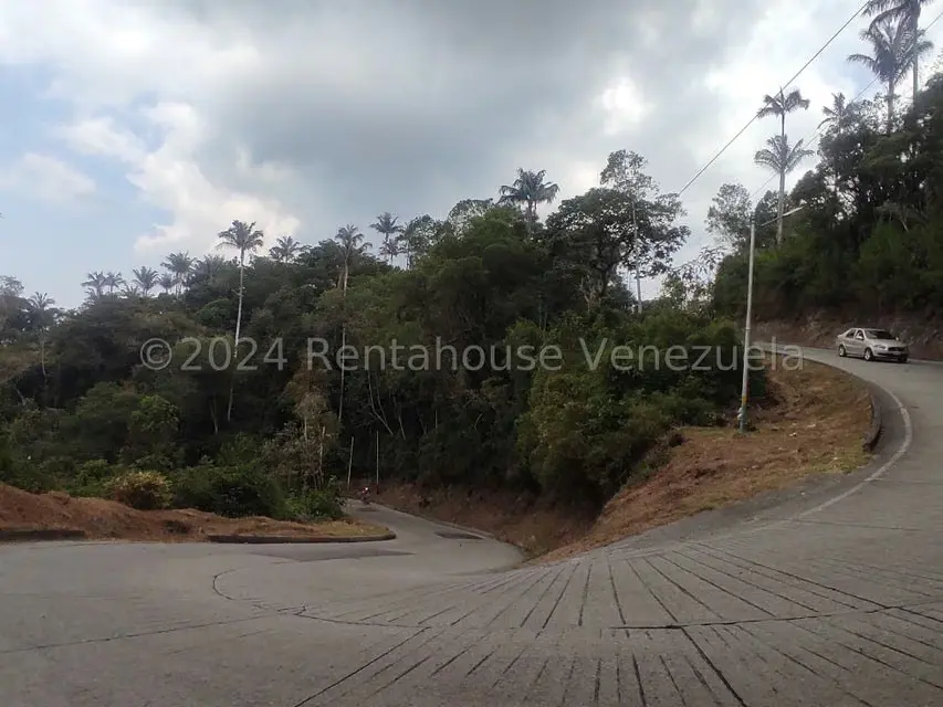 Terreno (Residencial) en Venta en La Colonia Tovar, Aragua - 15
