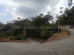 View 15