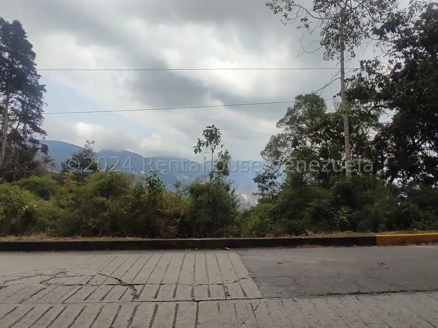 Terreno (Residencial) en Venta en La Colonia Tovar, Aragua - 19