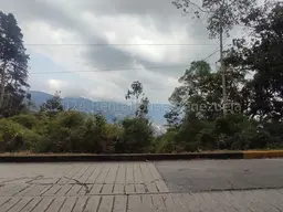 View 19