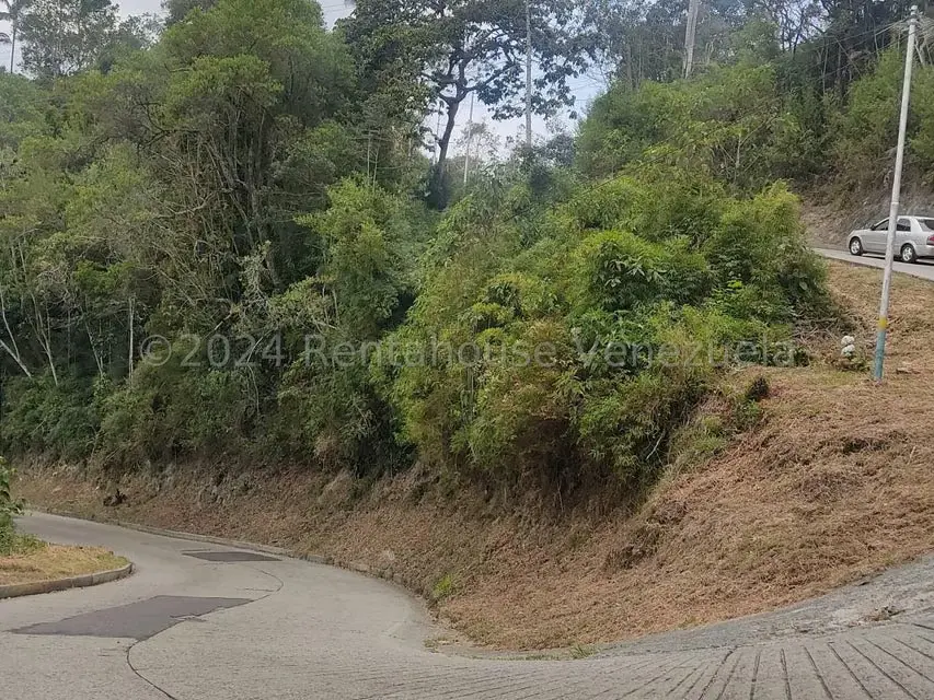 Terreno (Residencial) en Venta en La Colonia Tovar, Aragua - 2