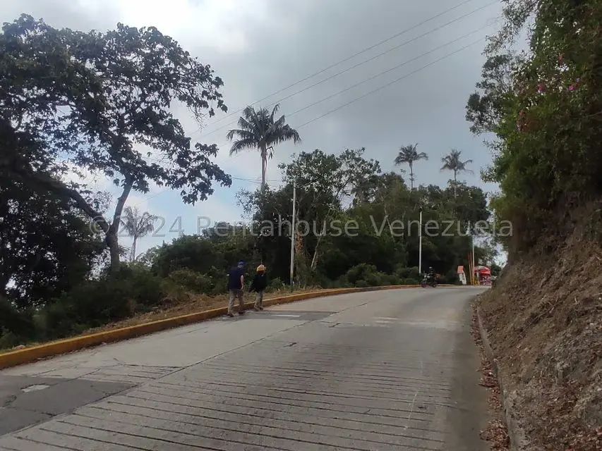 Terreno (Residencial) en Venta en La Colonia Tovar, Aragua - 21
