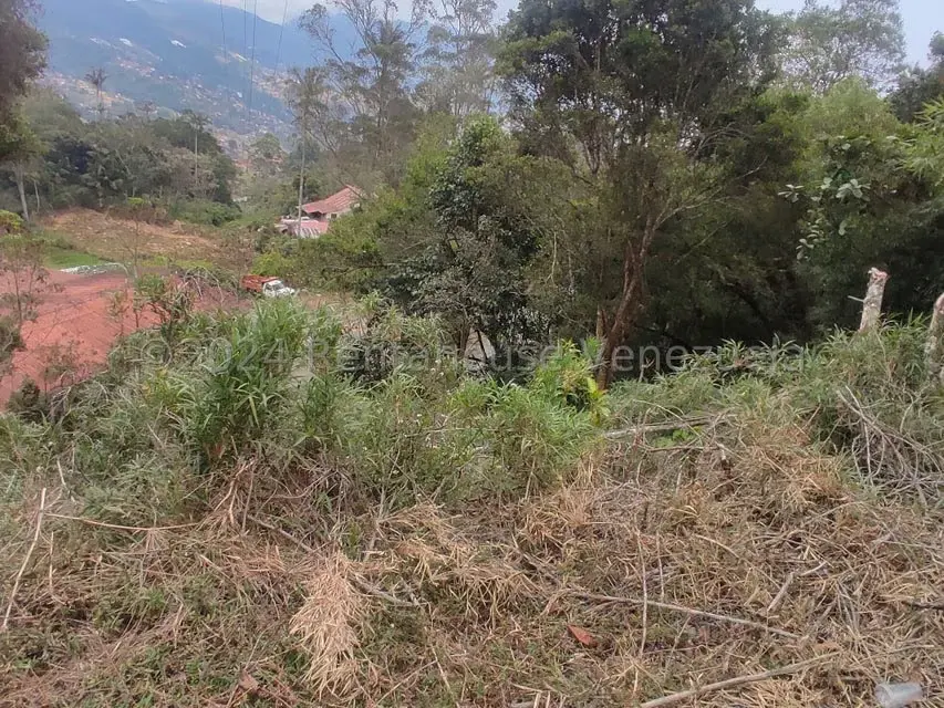 Terreno (Residencial) en Venta en La Colonia Tovar, Aragua - 23