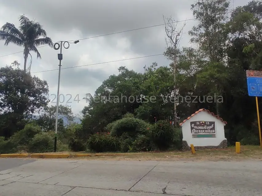 Terreno (Residencial) en Venta en La Colonia Tovar, Aragua - 24