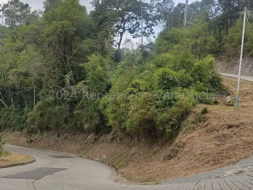 Terreno (Residencial) en Venta en La Colonia Tovar, Aragua - 29