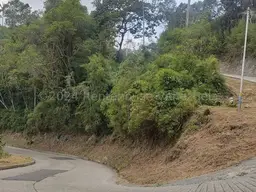 View 29