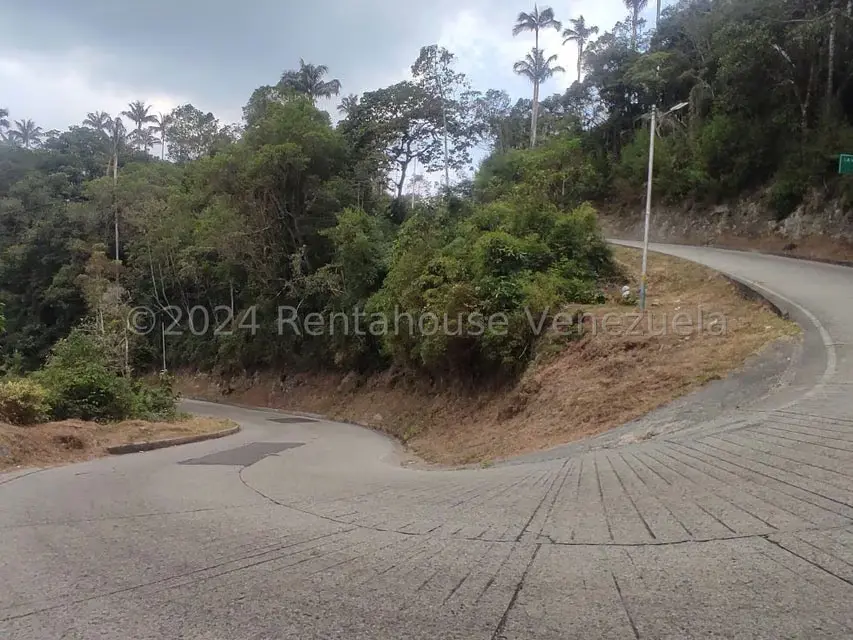 Terreno (Residencial) en Venta en La Colonia Tovar, Aragua - 3