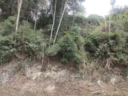 View 6