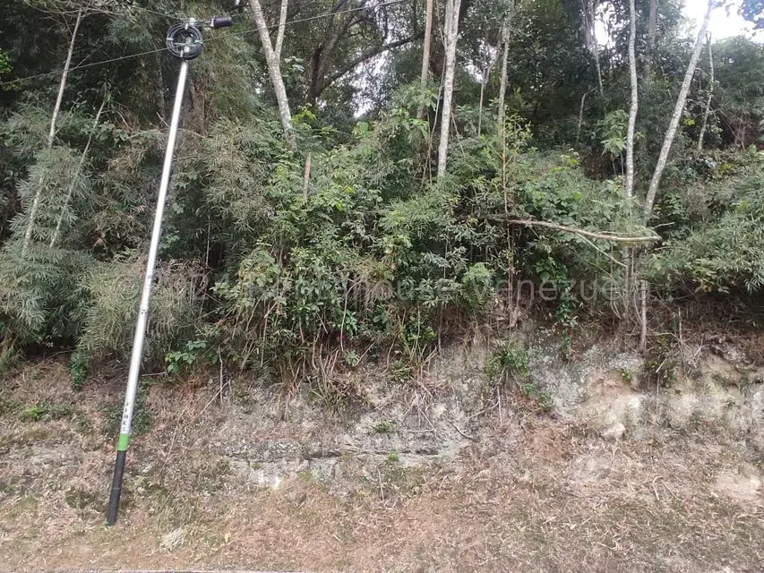 Terreno (Residencial) en Venta en La Colonia Tovar, Aragua - 8