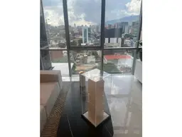 Vista 25
