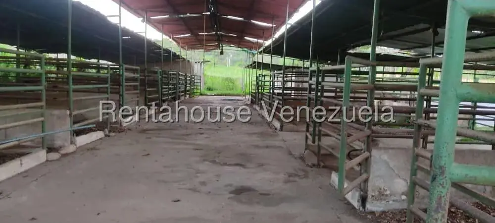 Terreno (Finca) en Venta en Santa Lucia, Miranda - 8