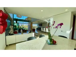 Vista 8
