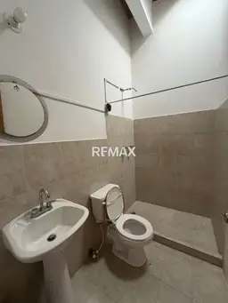 Vista 5