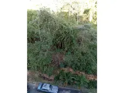 Vista 49