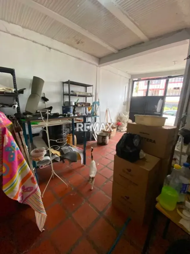 Alquiler de local en planta baja. Á pie de calle Calle 16. Ermita. - 6