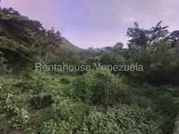 View 11