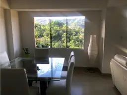 Vista 11