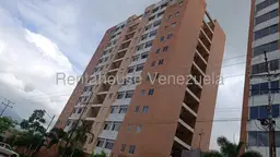 View 19