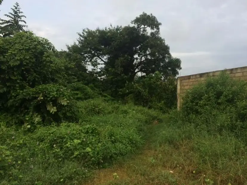 Terreno (Residencial) en Venta en Monteserino, Carabobo