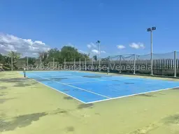 Vista 16