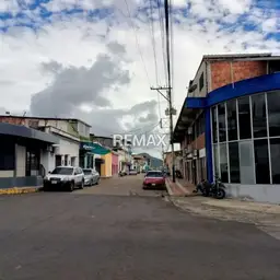 Vista 4