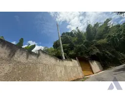 Vista 5