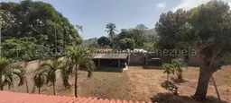 View 33