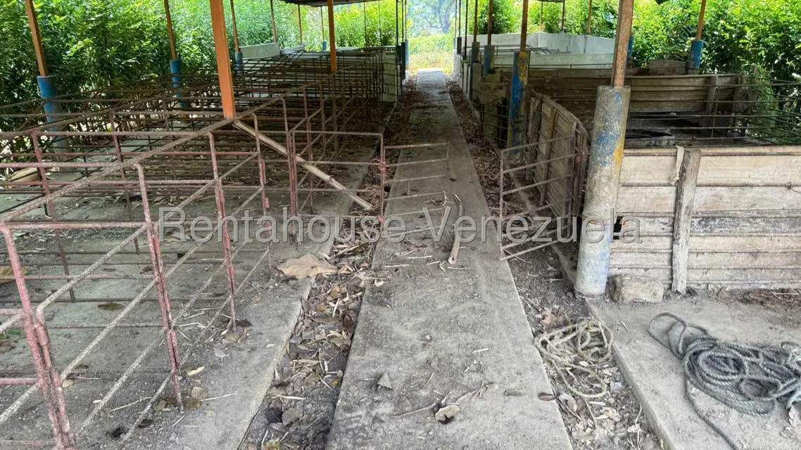 Terreno (Finca) en Venta en Centro, Portuguesa - 17