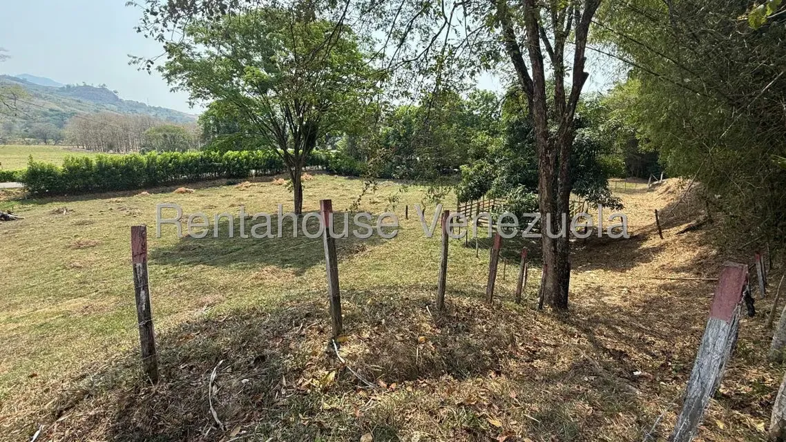 Terreno (Finca) en Venta en Centro, Portuguesa - 31