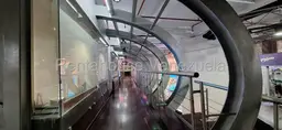 Vista 12