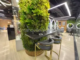 Vista 9