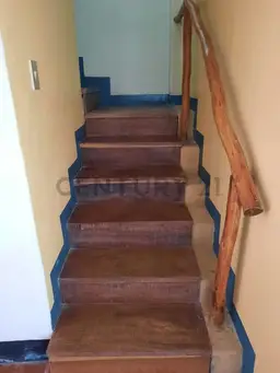 Vista 23
