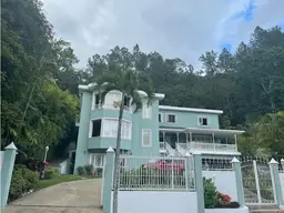 View 1