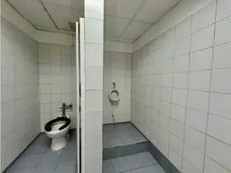 Vista 25