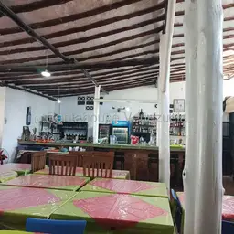 View 15