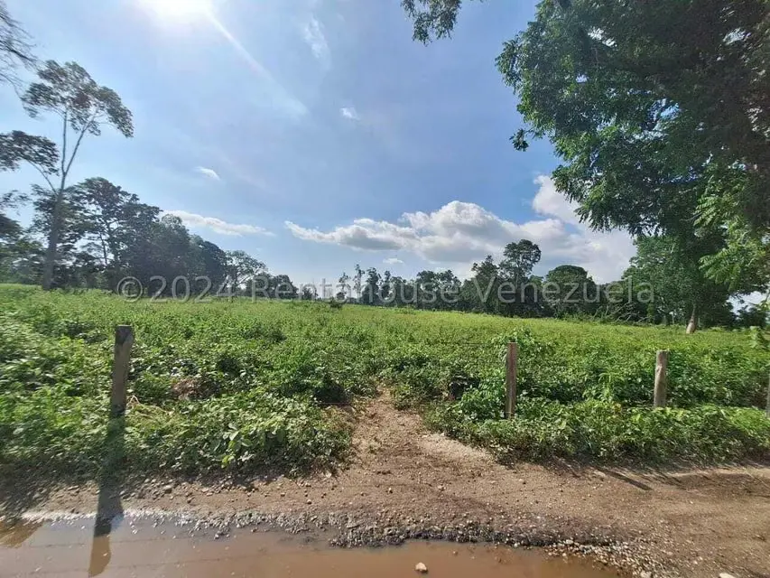 Terreno (Comercial) en Venta en Via Panamericana, Trujillo - 4