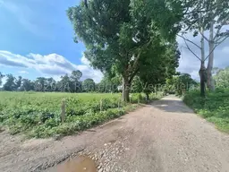Vista 5