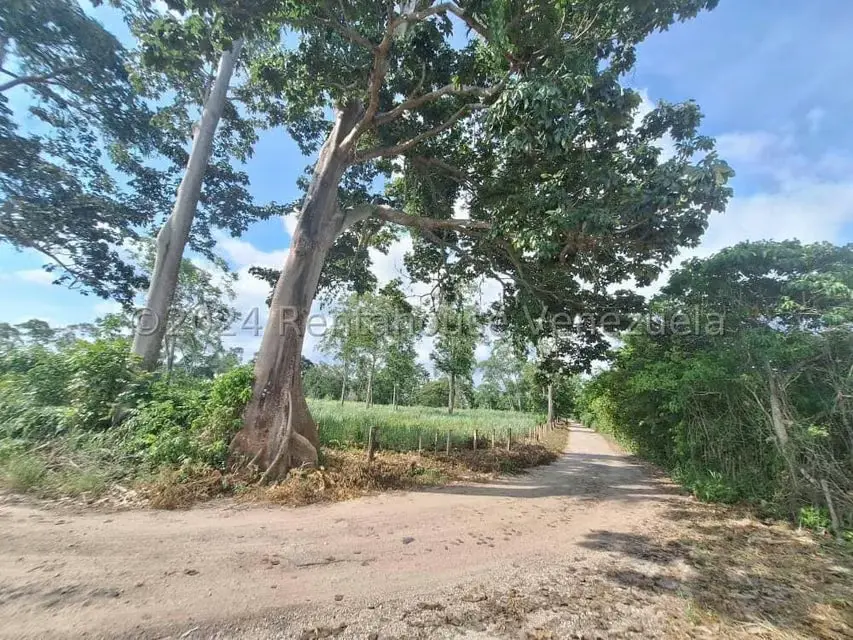 Terreno (Comercial) en Venta en Via Panamericana, Trujillo - 7