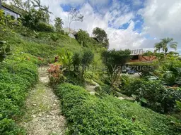 View 36