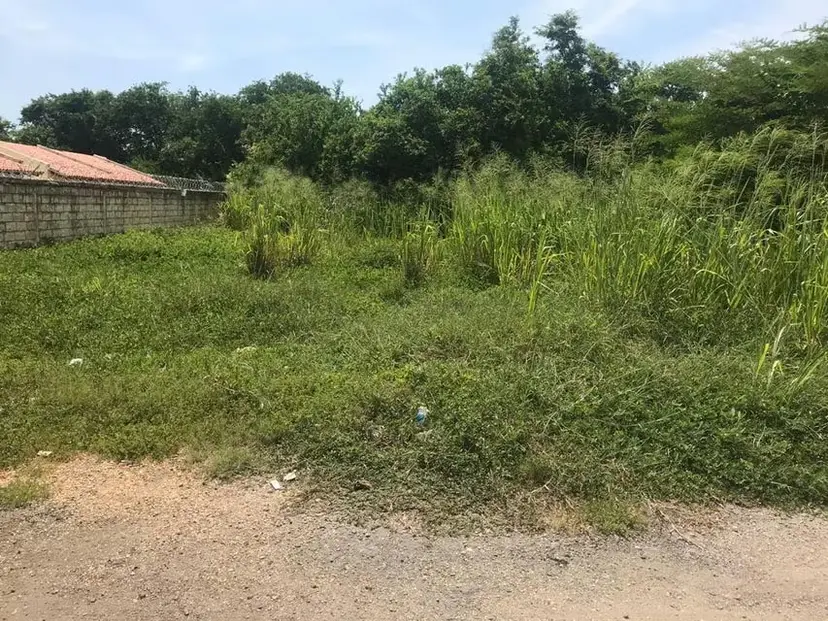 Terreno (Residencial) en Venta en Tucacas, Falcon