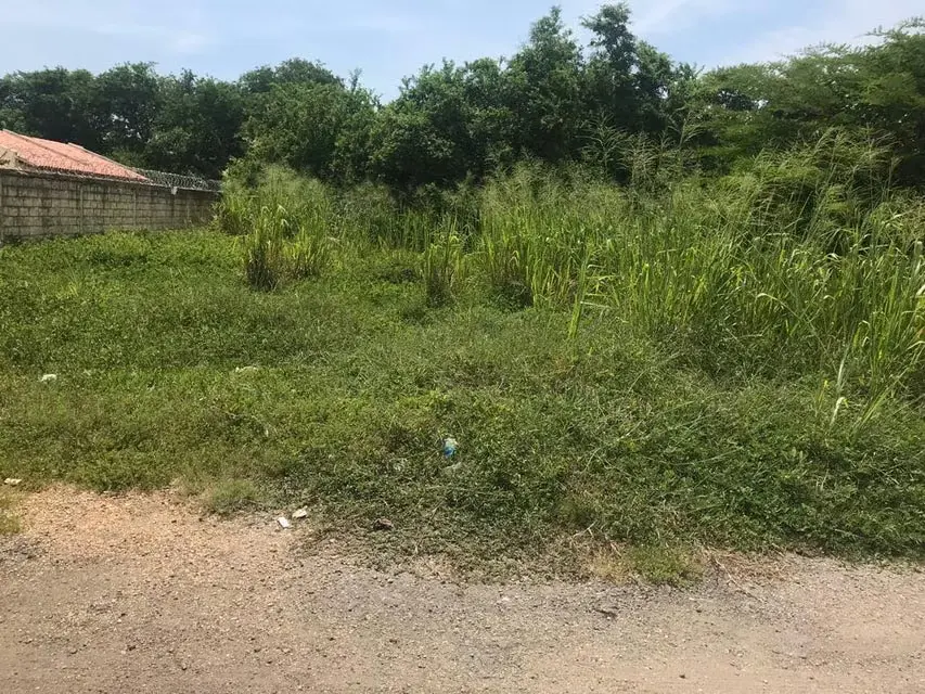 Terreno (Residencial) en Venta en Tucacas, Falcon - 2