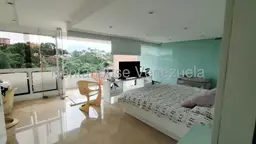 Vista 13